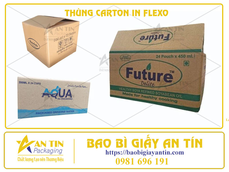Tiết Kiệm Chi Phí, Tối Ưu Hiệu Quả Với Thùng Carton In Flexo