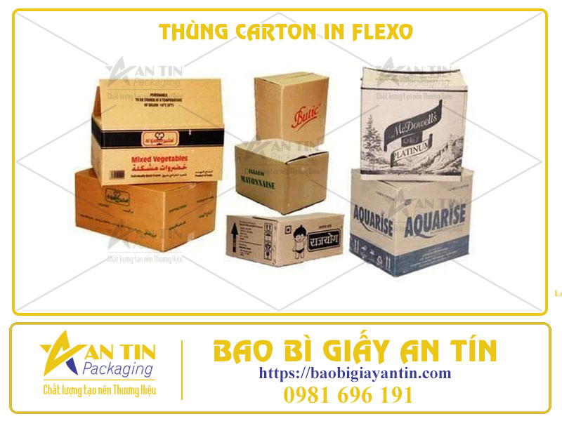 Tiết Kiệm Chi Phí, Tối Ưu Hiệu Quả Với Thùng Carton In Flexo