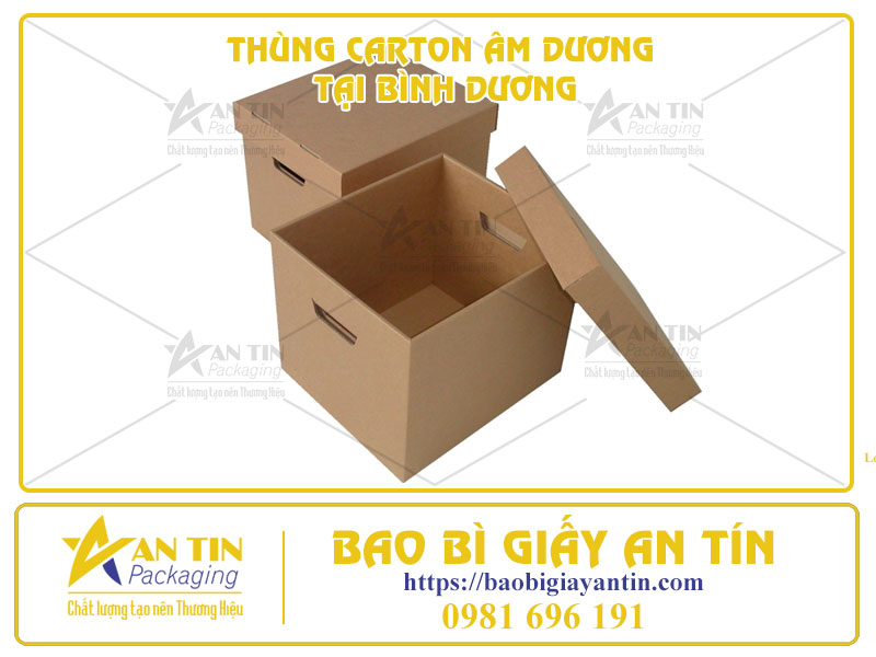 Tiết Kiệm Chi Phí Đóng Gói Với Báo Giá Thùng Carton Âm Dương Tại Bình Dương