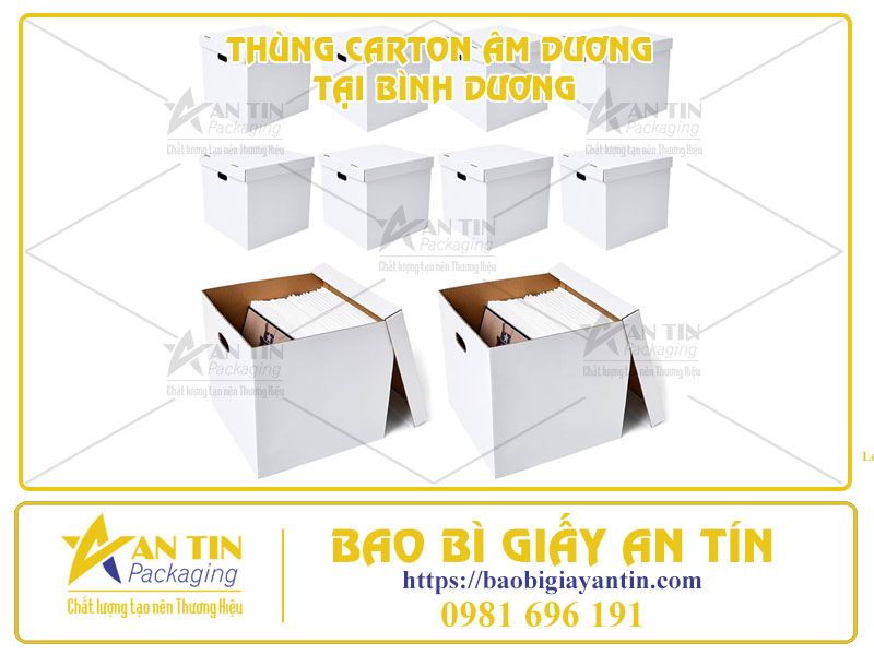 Tiết Kiệm Chi Phí Đóng Gói Với Báo Giá Thùng Carton Âm Dương Tại Bình Dương