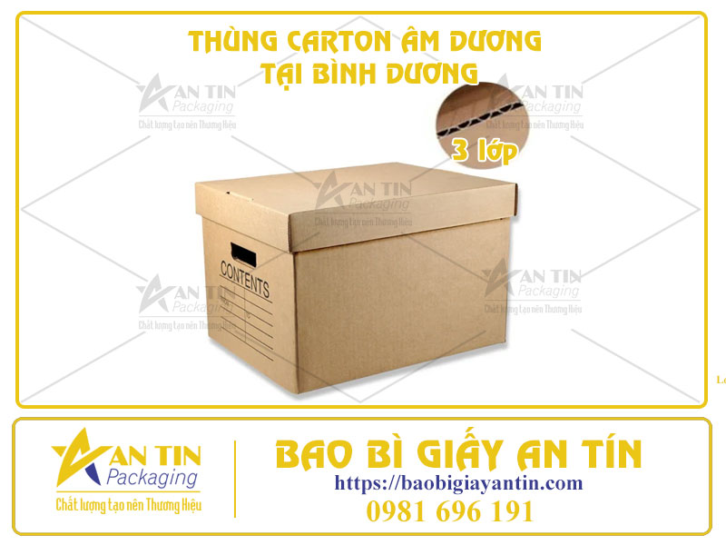 Tiết Kiệm Chi Phí Đóng Gói Với Báo Giá Thùng Carton Âm Dương Tại Bình Dương