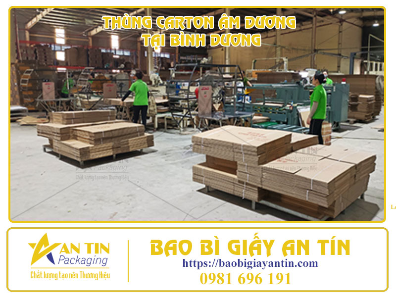 Tiết Kiệm Chi Phí Đóng Gói Với Báo Giá Thùng Carton Âm Dương Tại Bình Dương