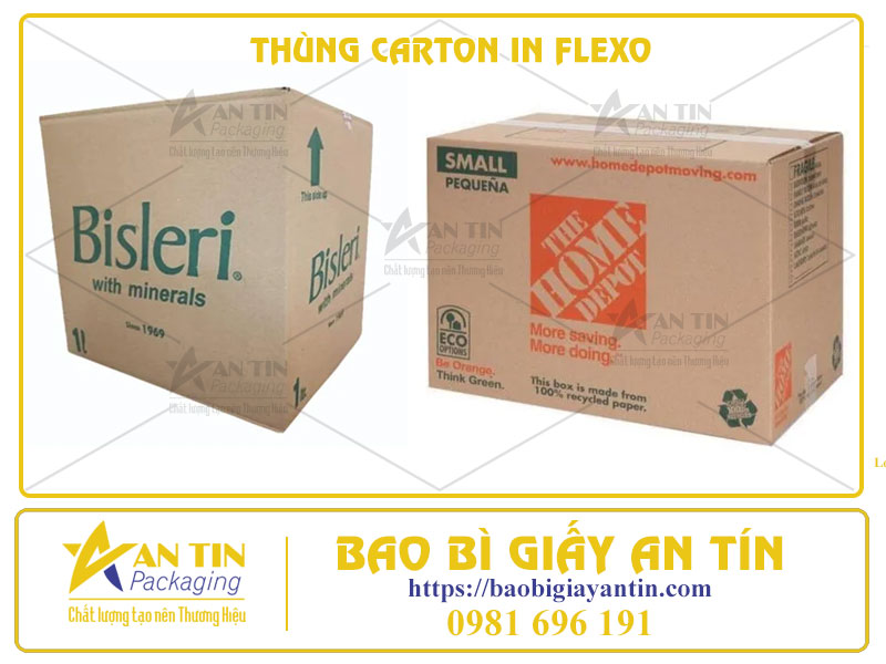 Tiết Kiệm Chi Phí, Tối Ưu Hiệu Quả Với Thùng Carton In Flexo