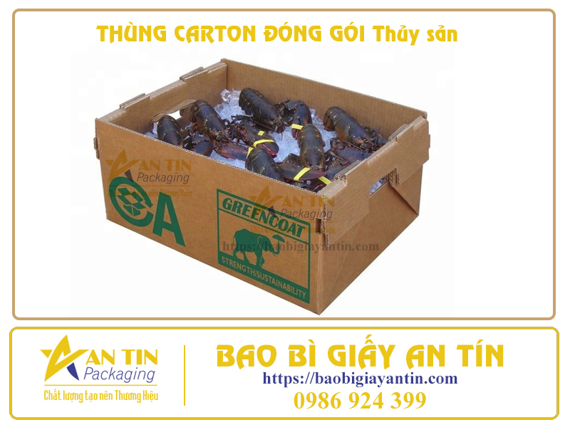 Tiêu chuẩn thùng đóng gói thủy sản AN Tín