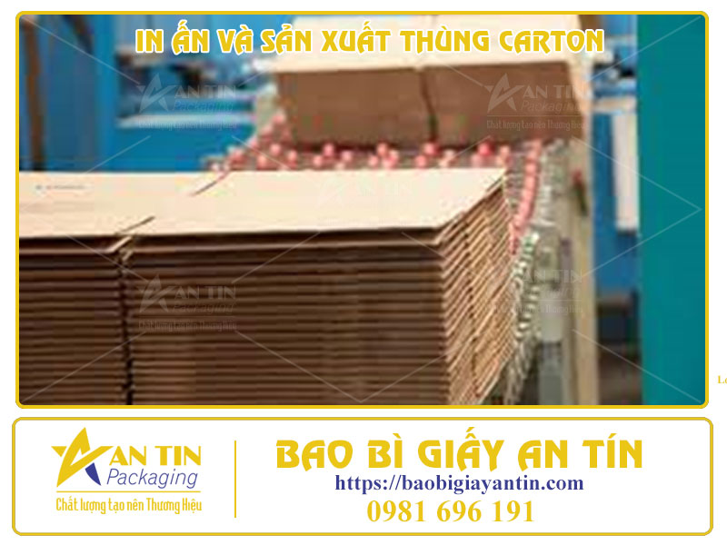 Tìm Hiểu Chi Tiết Quy Trình In Ấn Và Sản Xuất Thùng Carton Trọn Gói Từ Bao Bì An Tín