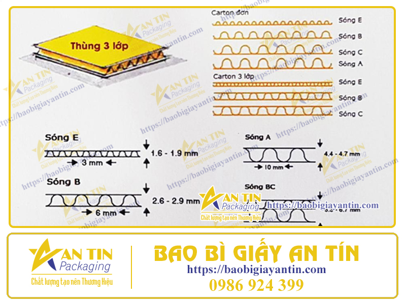 Tìm Hiểu Mẫu Thùng Carton Đóng Gói Nước Suối Vivant 500ml