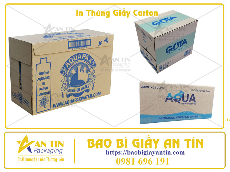Tối Ưu Hóa Bao Bì Sản Phẩm Với Dịch Vụ In Thùng Giấy Carton Chuyên Nghiệp