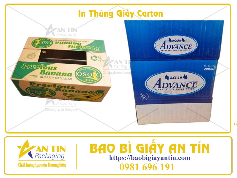 Tối Ưu Hóa Bao Bì Sản Phẩm Với Dịch Vụ In Thùng Giấy Carton Chuyên Nghiệp