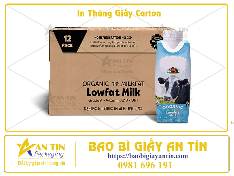Tối Ưu Hóa Bao Bì Sản Phẩm Với Dịch Vụ In Thùng Giấy Carton Chuyên Nghiệp
