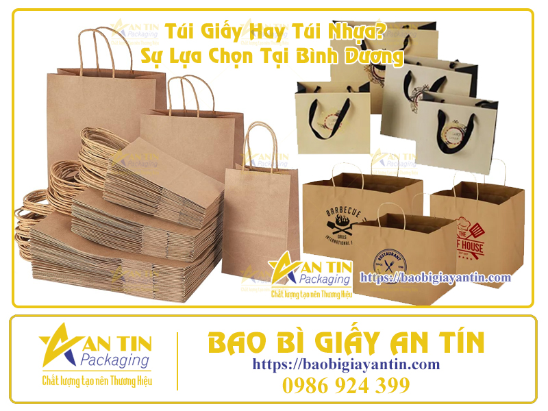 Túi Giấy Đa Dạng Mẫu Mã Tại Bình Dương Túi Giấy Đa Dạng Mẫu Mã Tại Bình Dương