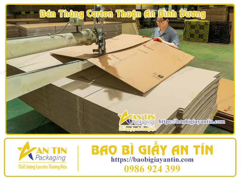 Xưởng In Thùng Carton tại Bình Dương Xưởng In Thùng Carton tại Bình Dương