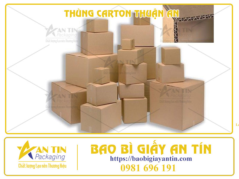 Xưởng Làm Thùng Carton Thuận An - Làm Sẵn Hoặc In Ấn Theo Yêu Cầu