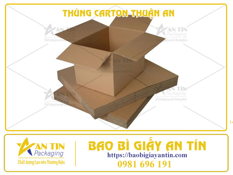 Xưởng Làm Thùng Carton Thuận An - Làm Sẵn Hoặc In Ấn Theo Yêu Cầu