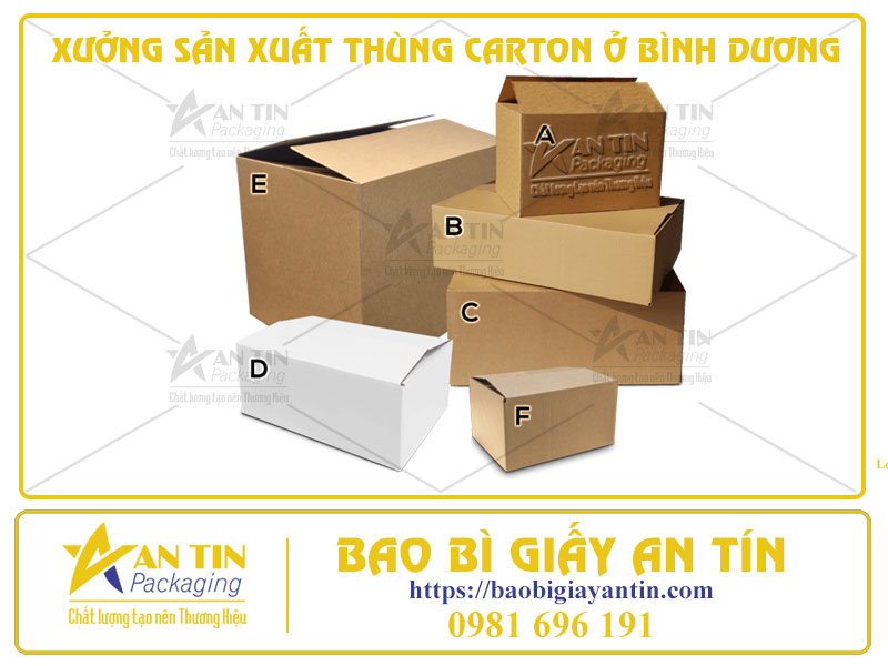 Xưởng Sản Xuất Thùng Carton Ở Bình Dương - Chất Lượng Đẳng Cấp, Giá Cả Hợp Lý