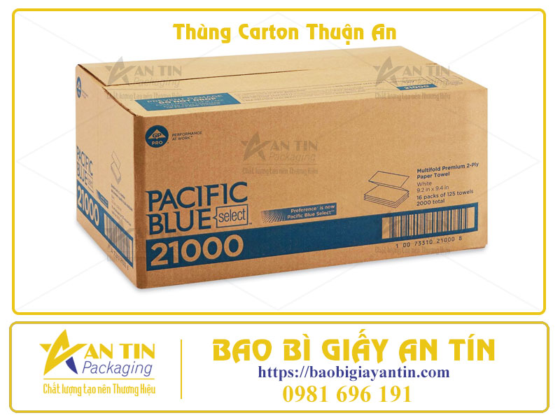 Xưởng Thùng Carton Thuận An Đối Tác Tin Cậy Cho Mọi Nhu Cầu Đóng Gói Xưởng Thùng Carton Thuận An Đối Tác Tin Cậy Cho Mọi Nhu Cầu Đóng Gói