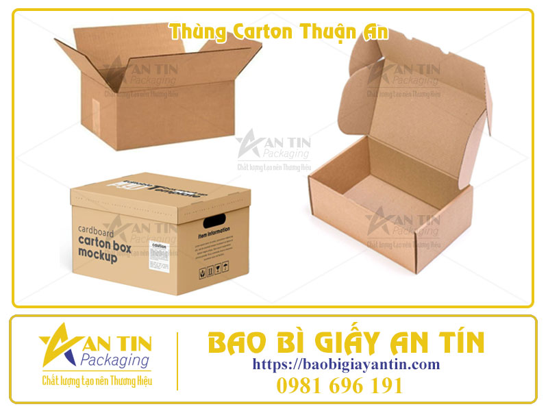 Xưởng Thùng Carton Thuận An Đối Tác Tin Cậy Cho Mọi Nhu Cầu Đóng Gói Xưởng Thùng Carton Thuận An Đối Tác Tin Cậy Cho Mọi Nhu Cầu Đóng Gói