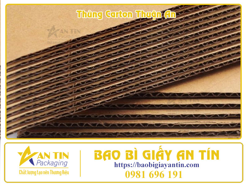 Xưởng Thùng Carton Thuận An Đối Tác Tin Cậy Cho Mọi Nhu Cầu Đóng Gói Xưởng Thùng Carton Thuận An Đối Tác Tin Cậy Cho Mọi Nhu Cầu Đóng Gói