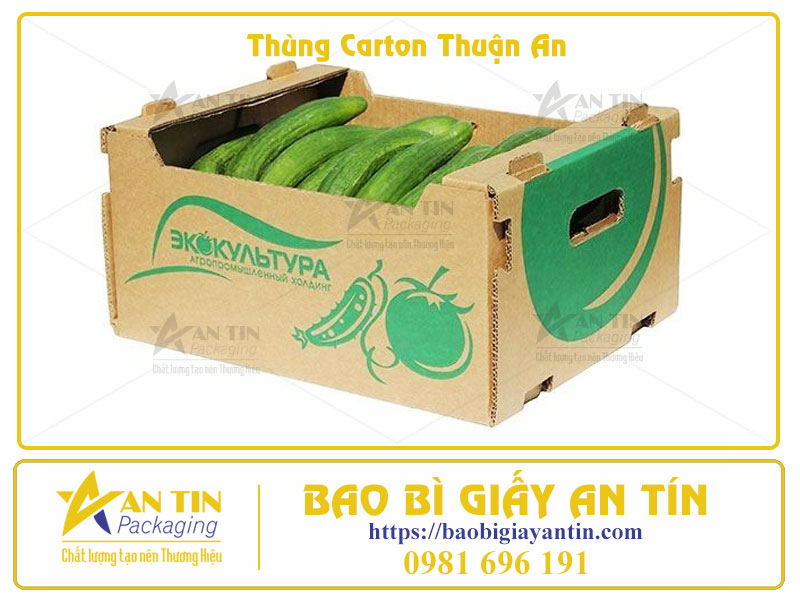 Xưởng Thùng Carton Thuận An Đối Tác Tin Cậy Cho Mọi Nhu Cầu Đóng Gói Xưởng Thùng Carton Thuận An Đối Tác Tin Cậy Cho Mọi Nhu Cầu Đóng Gói