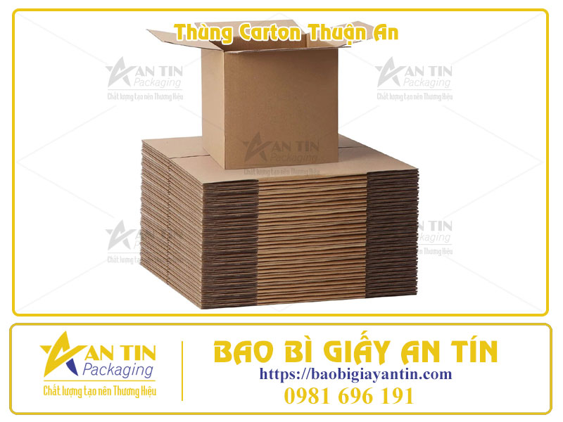 Xưởng Thùng Carton Thuận An Đối Tác Tin Cậy Cho Mọi Nhu Cầu Đóng Gói Xưởng Thùng Carton Thuận An Đối Tác Tin Cậy Cho Mọi Nhu Cầu Đóng Gói
