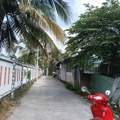 [5-29] TTC 🔥🔥 Bán đất Nền Mặt tiền hẻm Thầy liền phường 6.