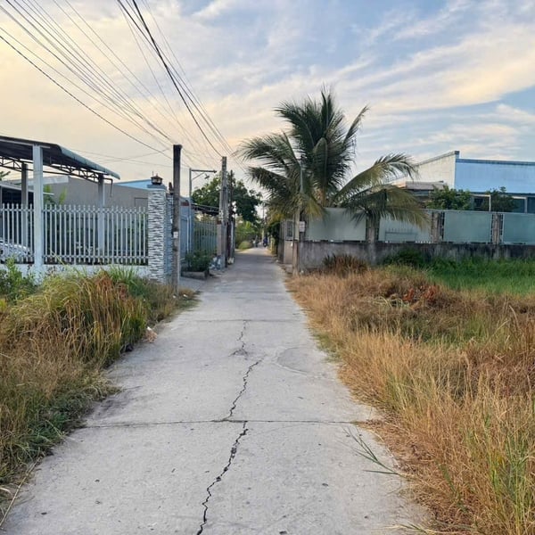 [6-54] TTC 🔥🔥NỀN BIỆT THỰ SAU LƯNG CHỢ PHƯỜNG 7  - Dt: 748m² - ngang 22m