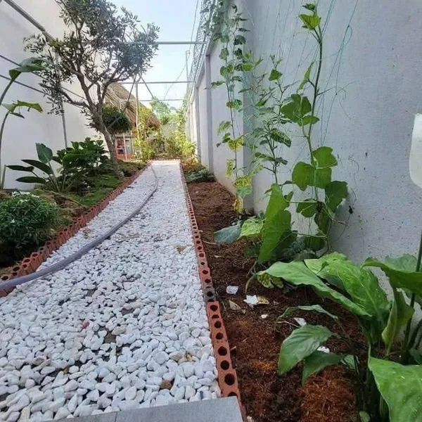 [6-26] TTC 🔥🔥Bán Biệt Thự Sân Vườn Phường Phú Tân - Tp Bến Tre