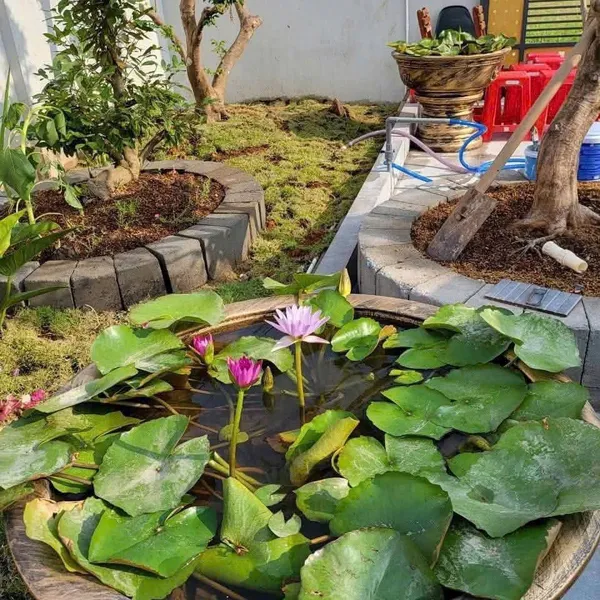 [6-26] TTC 🔥🔥Bán Biệt Thự Sân Vườn Phường Phú Tân - Tp Bến Tre