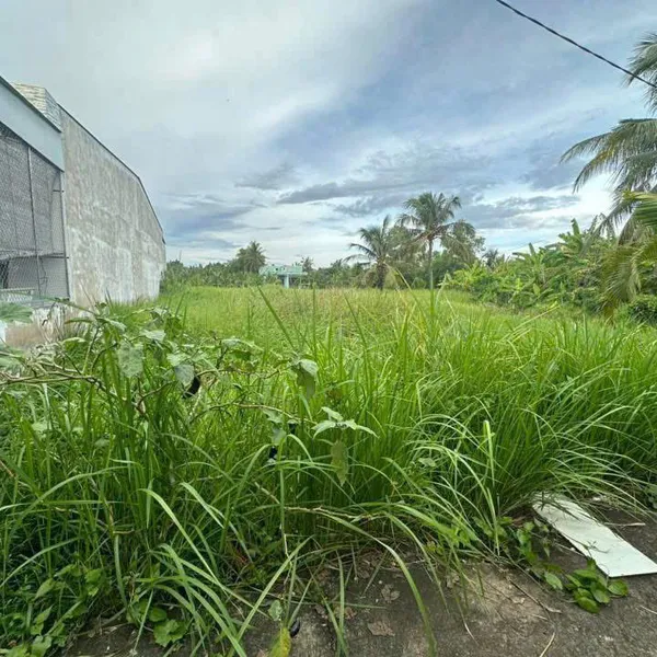 [5-101] TTC🔥🔥Bán Nền phường 7,TP BẾN TRE ( VĨNH LONG MỚI) 