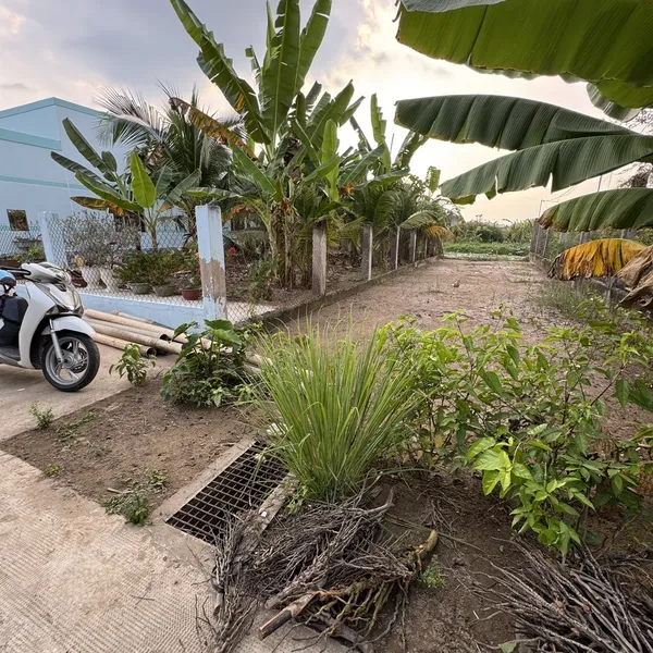 [5-133] TTC 🔥🔥BÁN NỀN PHƯỜNG 7 ➖ĐỐI DIỆN VIETTEL Bến Tre ( Vĩnh Long mới )