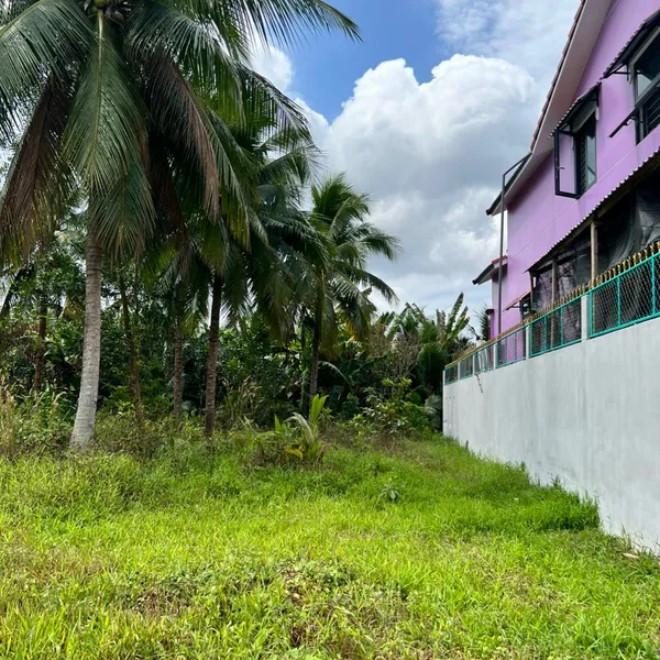 [4-38] 🔥🔥Ra Đi 340m Đất Cây Lâu Năm Xã Nhơn Thạnh Tp Bến Tre  