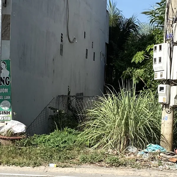 [983] TTC🔥🔥NỀN MẶT TIỀN QL60 - TAM PHƯỚC  