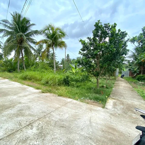 [4-31]TTC 🔥🔥CẦN BÁN 2800m2 ĐẤT KÈM NHÀ XƯỞNG VÀ VƯỜN BƯỞI SƠN ĐÔNG  