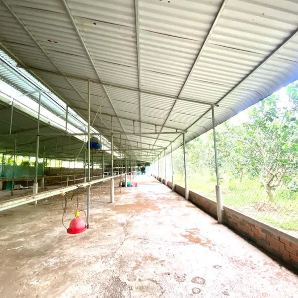 [4-31]TTC 🔥🔥CẦN BÁN 2800m2 ĐẤT KÈM NHÀ XƯỞNG VÀ VƯỜN BƯỞI SƠN ĐÔNG  