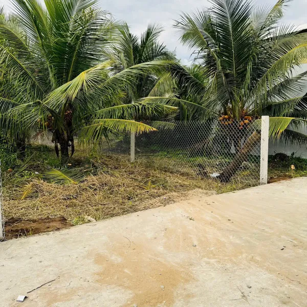 [5-135] 👉👉GIẢM GIÁ 100Tr CÒN ===> 750 tr