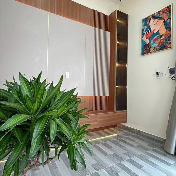 [6-73] TTC 🔥🔥Nhà MỚI HOÀN THIỆN. ĐÃ HOÀN CÔNG Thuộc Phường Phu Tân bến tre.  ➖cách trường Nguyễn Đình Chiểu 200m . Đường ôtô