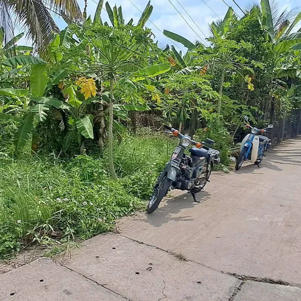 [6-08] 🔥🔥NỀN 250m² – PHƯỜNG 7 ,TP BẾN TRE ( Phường BẾN TRE)