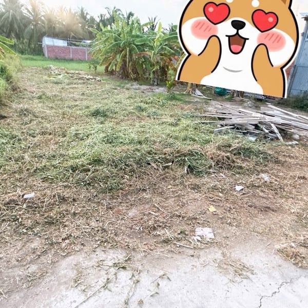 [6-74] 👉👉Đang đăng kí lên thổ cư  TTC🔥🔥Bán nền phường Phú tân. Gần vườn thanh