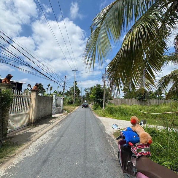 [6-37] TTC 🔥🔥Nền Bình Phú 123m ngang 7 Gần Lộ Thống nhất
