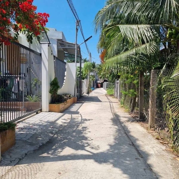 [6-42] TTC🔥🔥Phú Tân (cũ) – Trung tâm TP Bến Tre