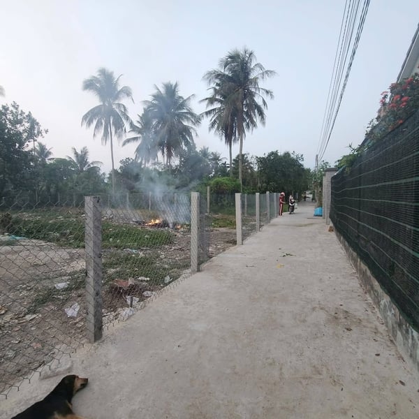 [6-42] TTC🔥🔥Phú Tân (cũ) – Trung tâm TP Bến Tre