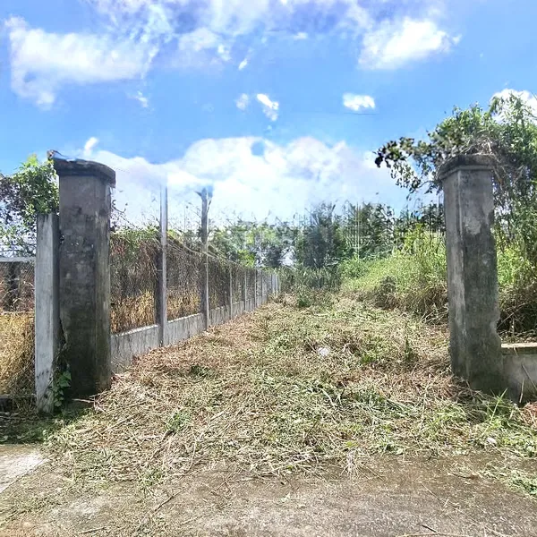 [5-110] TTC🔥🔥NỀN MẶT TIỀN NGUYỄN VĂN KHƯỚC - PHÚ TÂN VĨNH LONG