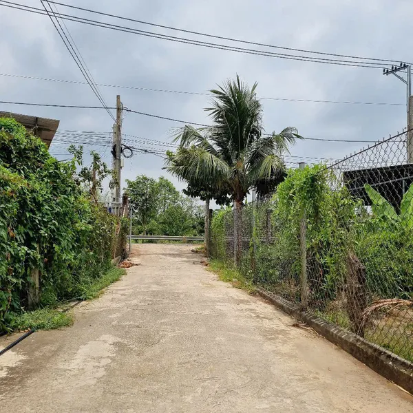[5-44]🔥🔥Nền Phường Phú Tân - Bến Tre