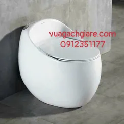 Bồn Cầu Trứng Liền Khối Giá rẻ màu trắng nắp đen - nắp xám