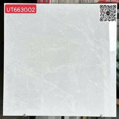 Gạch Đá 60x60 Ốp Lát Giá Rẻ mạng nhiện UT663002