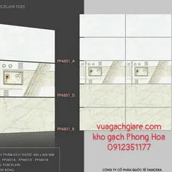 Gạch Đá Ốp Tường 40x80 Giá Rẻ Pancera vân đá PP4801