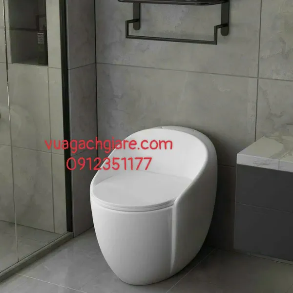 Bồn Cầu Trứng Liền Khối Giá rẻ màu đen - trắng
