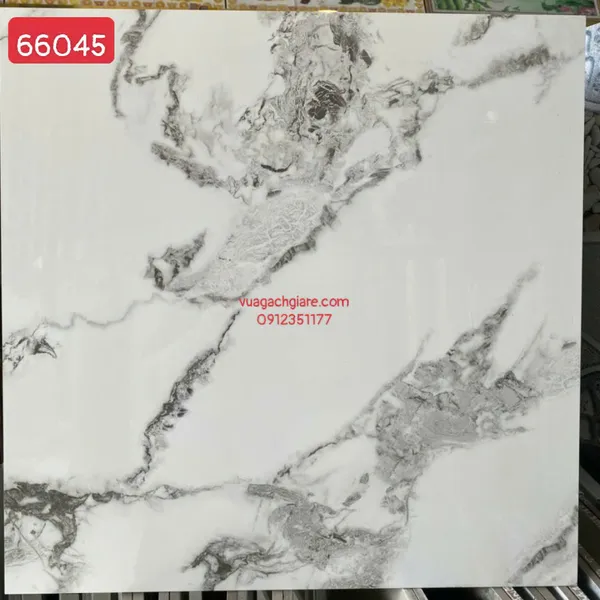 Gạch Đá 60x60 Ốp Lát Giá Rẻ trắng vân đen 66045
