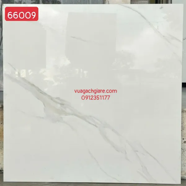 Gạch Đá 60x60 Ốp Lát Giá Rẻ trắng vân khói 66009