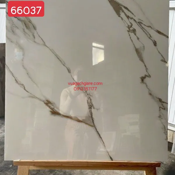 Gạch Đá 60x60 Ốp Lát Giá Rẻ trắng vân khói vàng 66037
