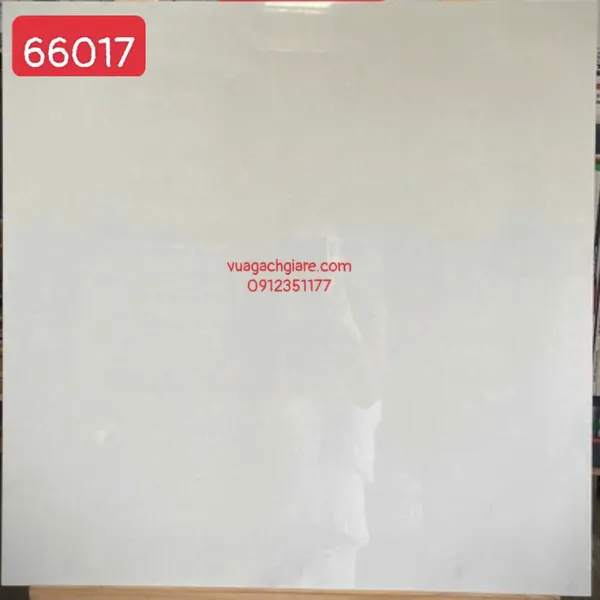 Gạch Đá 60x60 Ốp Lát Giá Rẻ trắng vân mây 66017